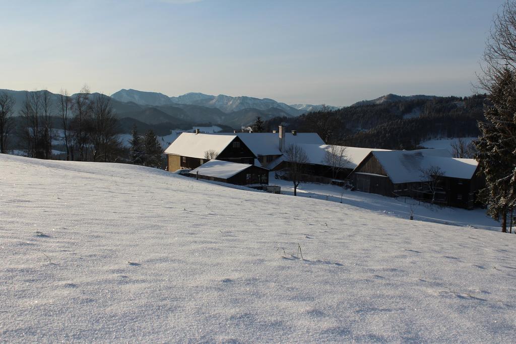 Hirmhof Villa Reinsberg Exterior photo